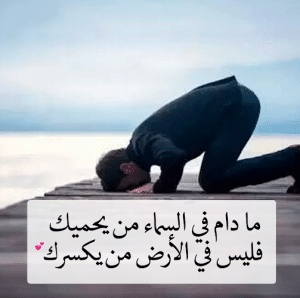 عبارات عن واقع الحياة