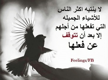 عبارات عن واقع الحياة