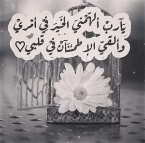 عبارات يارب