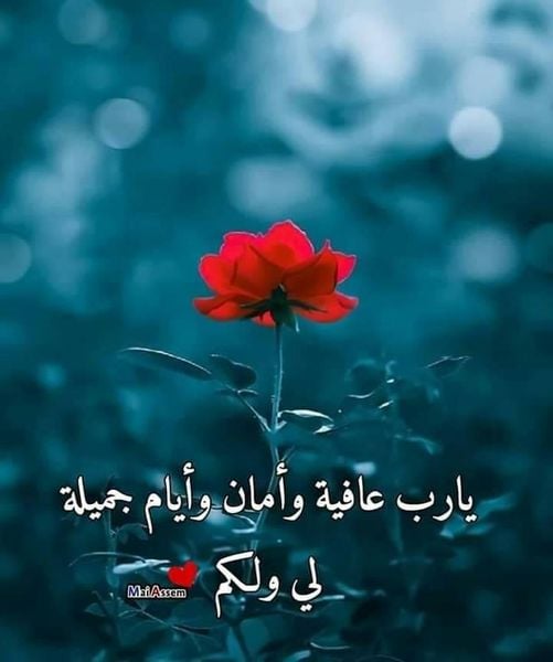 عبارات يارب