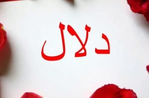 غزل عن الدلال