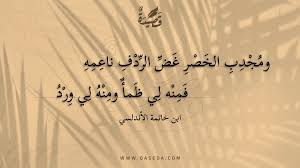 شعر عن الخصر