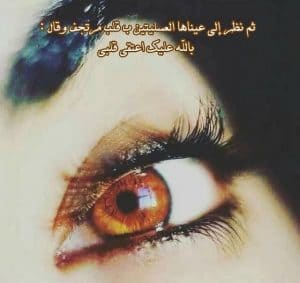 غزل عن الرموش