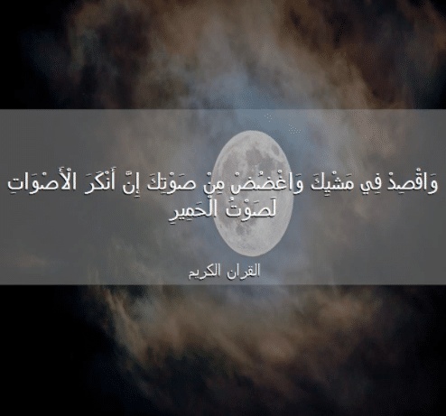 فوائد الآية وَاقْصِدْ في مشيك