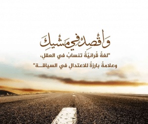 فوائد الآية وَاقْصِدْ في مشيك