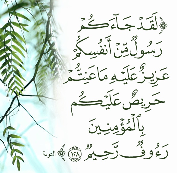 فوائد الاية لقد جاءكم رسول من انفسكم