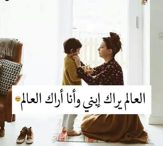 في مثل هذا اليوم ولد ابني