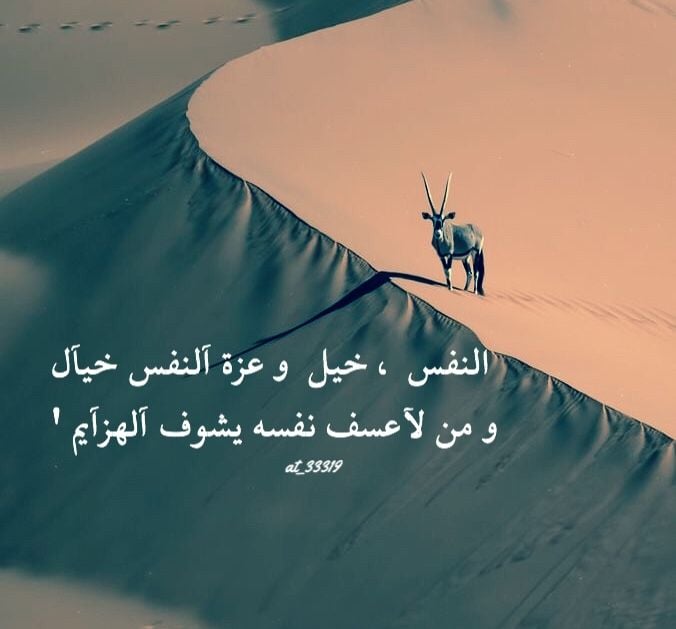 قصائد مدح نبطي