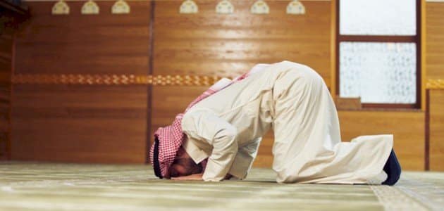 قصص واقعية عن الصلاة