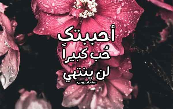 قصيدة حب لحبيبي