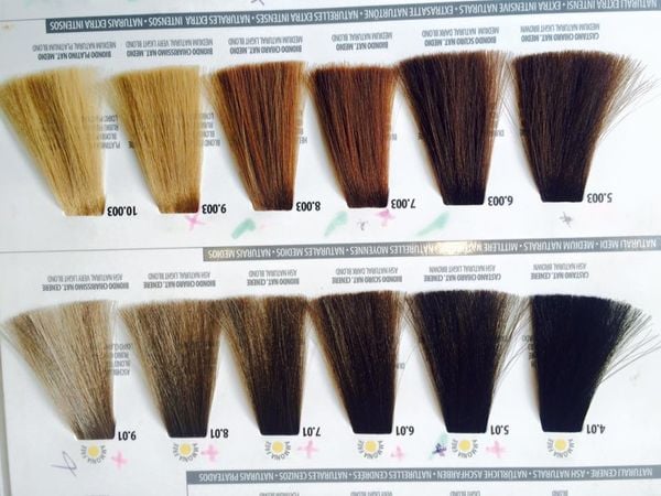 كتالوج صبغة فرام كولور