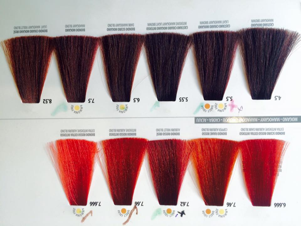 كتالوج صبغة فرام كولور