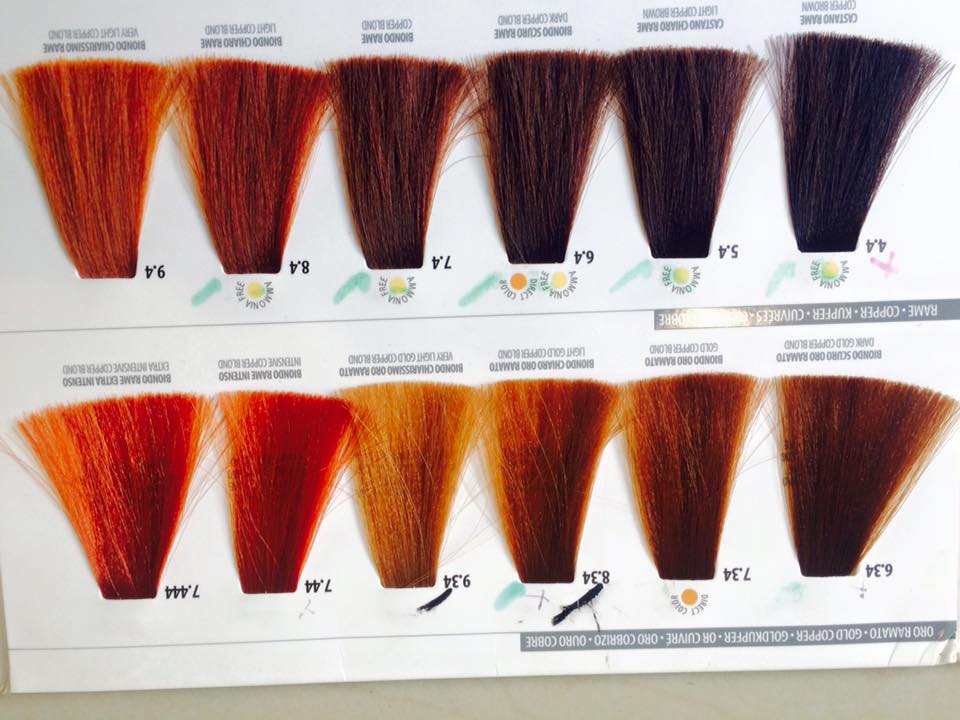 كتالوج صبغة فرام كولور