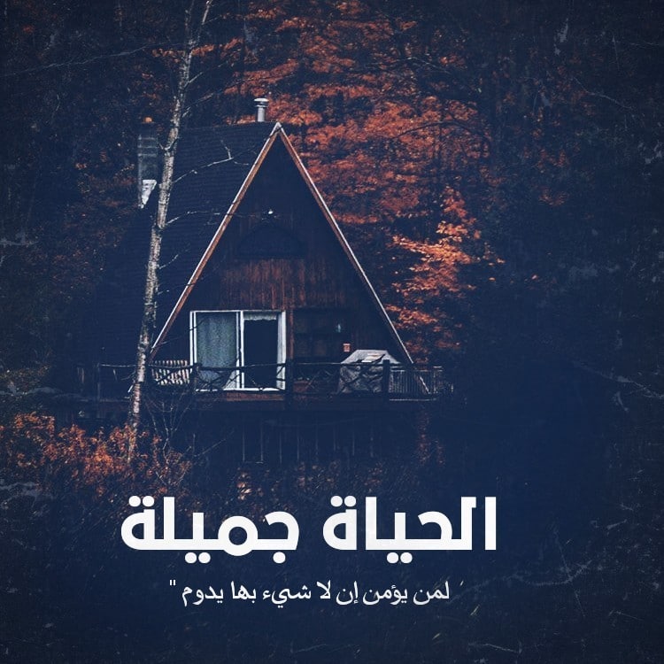 كلام جميل عن جمال الحياة