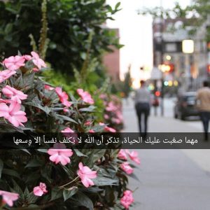كلام جميل عن جمال الحياة