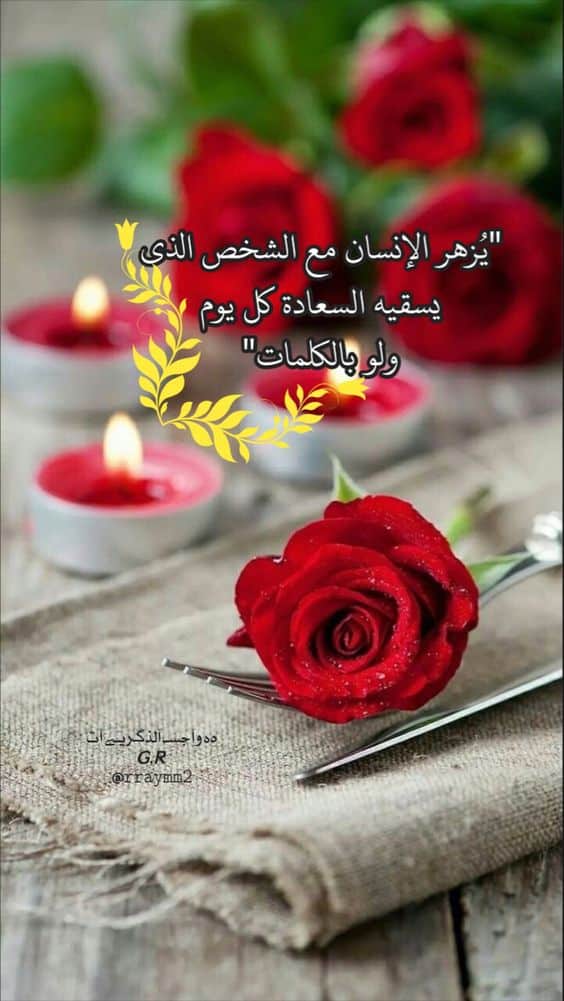 كلام حلو لحبيبتي وهي نايمه