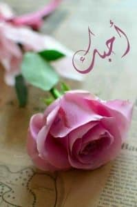 كلام حلو لحبيبتي وهي نايمه