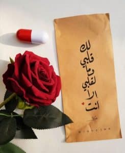 كلام حلو لصديقتي قصير