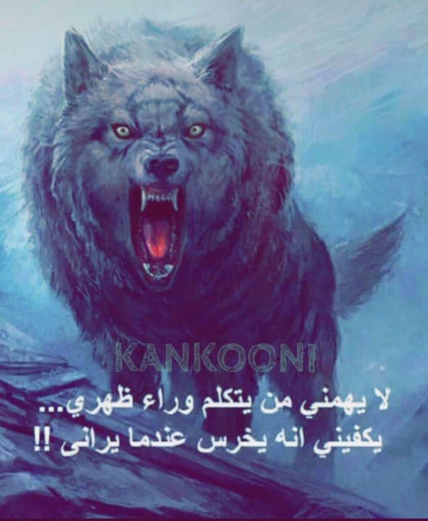 كلام عن الشخص اللي يتكلم من وراك