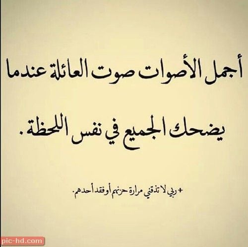 كلام عن العائلة