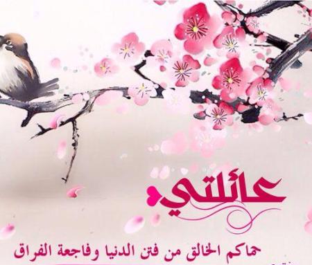 كلام عن العائلة