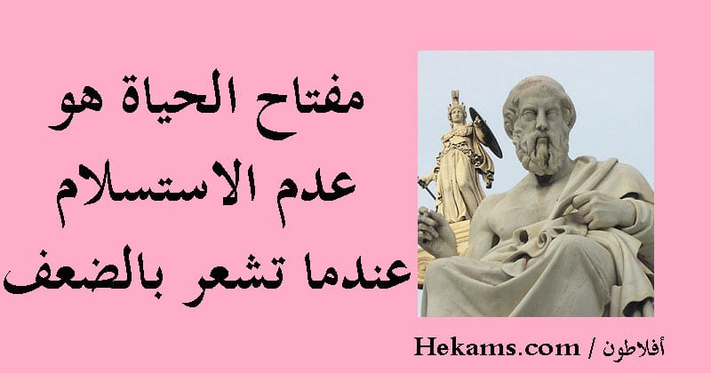 كلام عن عدم الاستسلام للفشل