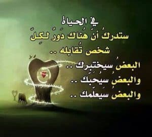 كلام في الصميم عن الحياة قصير