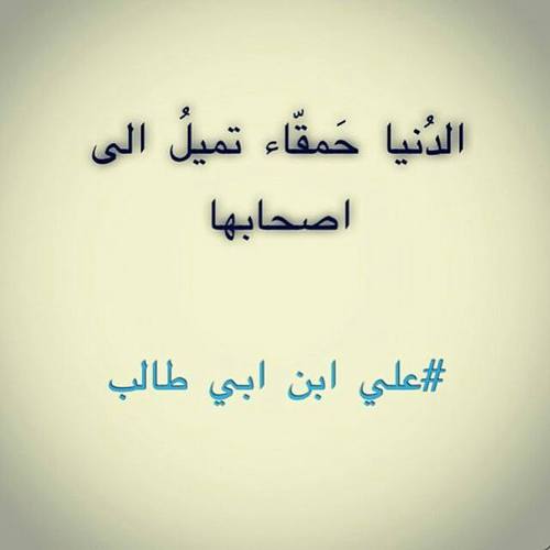 كلام في الصميم