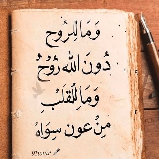 كلام يريح القلب المهموم