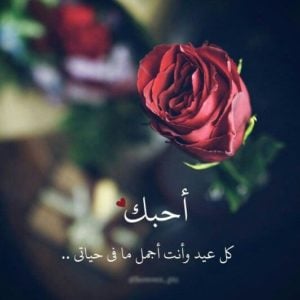 كلام يقال للحبيبة في عيد ميلادها