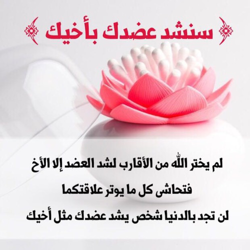 كلمات جميلة عن الاخ