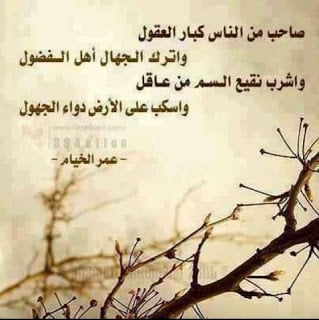 كلمات جميلة عن التدخل في شئون الآخرين