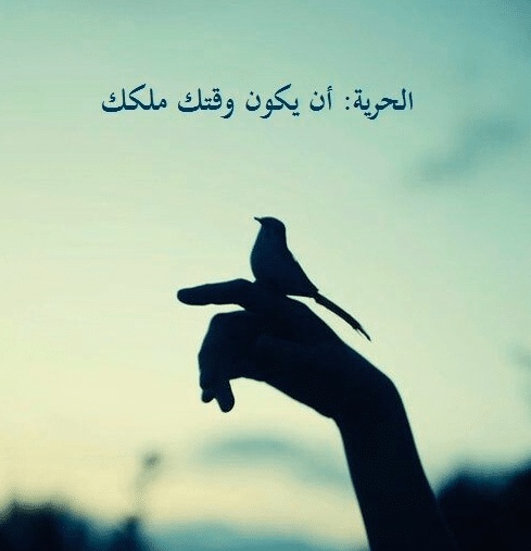 كلمات عن الحرية