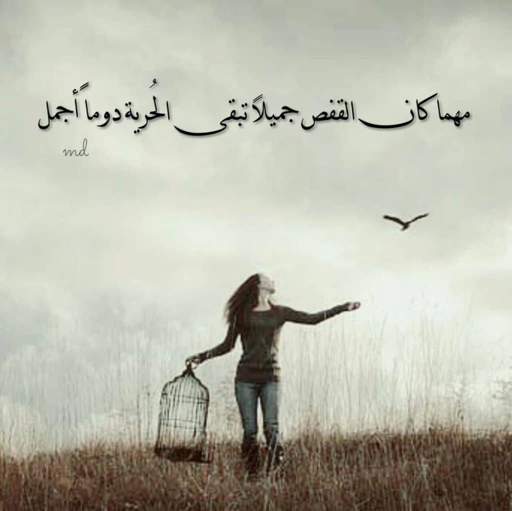 كلمات عن الحرية