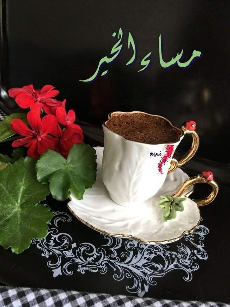 مساء الخير والنور