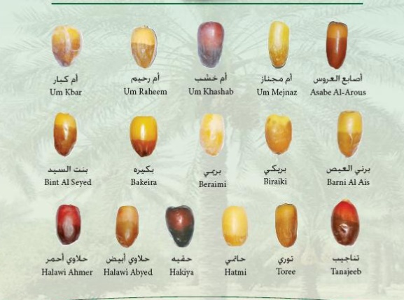 مطويات عن التمر