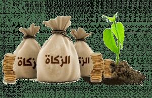 مطويات عن الزكاة