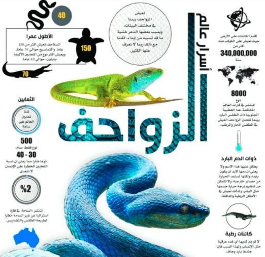 مطويات عن الزواحف