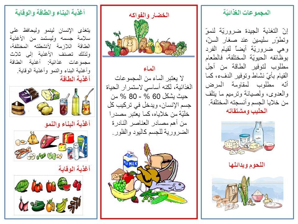 مطويات عن الغذاء الصحي
