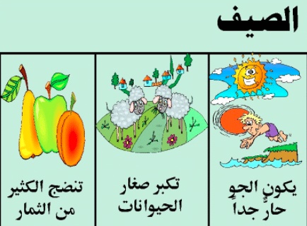 مطوية عن فصل الصيف