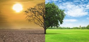 مقدمة بحث عن ظاهرة الاحتباس الحراري