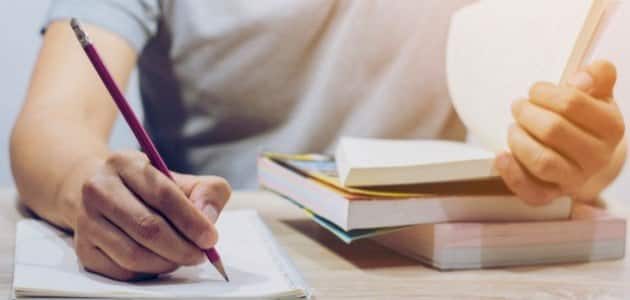 مقدمة بحث في الأدب العربي