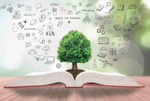 مقدمة عن التربية والتعليم