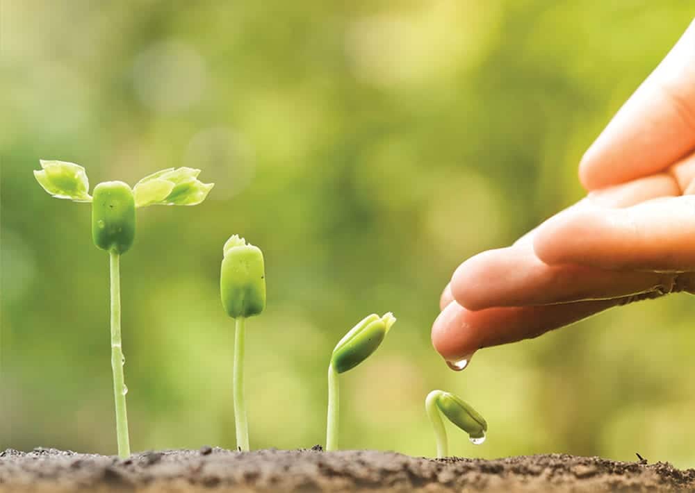 مقدمة وخاتمة عن الأخلاق