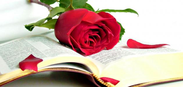 مقولات الفلاسفة
