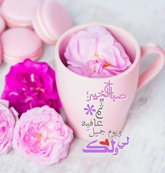 مقولات صباحية