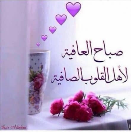 مقولات صباحية