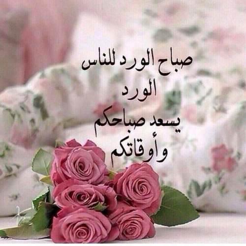 مقولات صباحية
