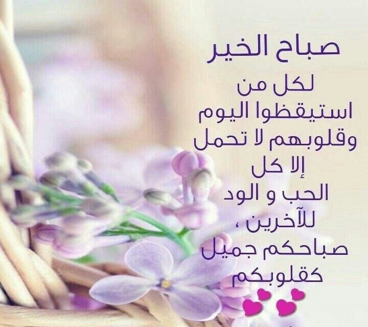 مقولات صباحية