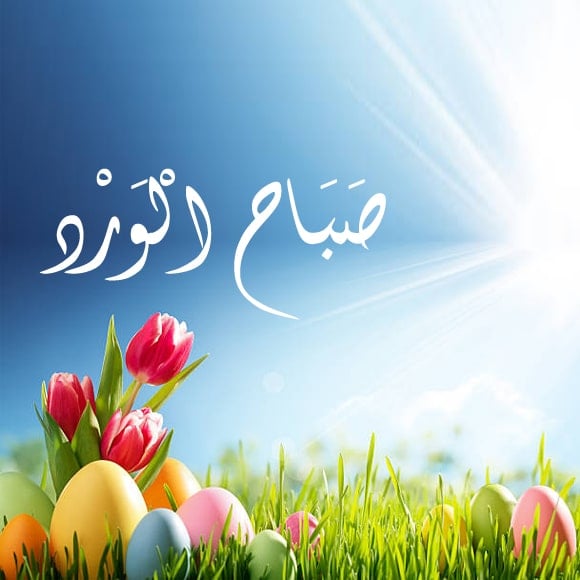مقولات صباحية